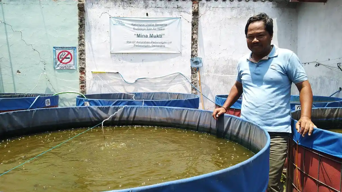 Budidaya Ikan Air Tawar Ala Eko Riyanto, Hilangkan Bau Amis Lele dengan Probiotik Herbal
