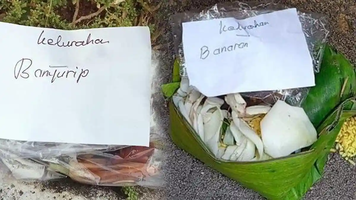 Viral, 5 Kantor Desa di Sragen Diduga Mendapat Teror Sajen Berisi Bunga Kantil hingga Beras Kuning