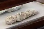 Penemuan Bengkel Pembuatan Mumi di Mesir
