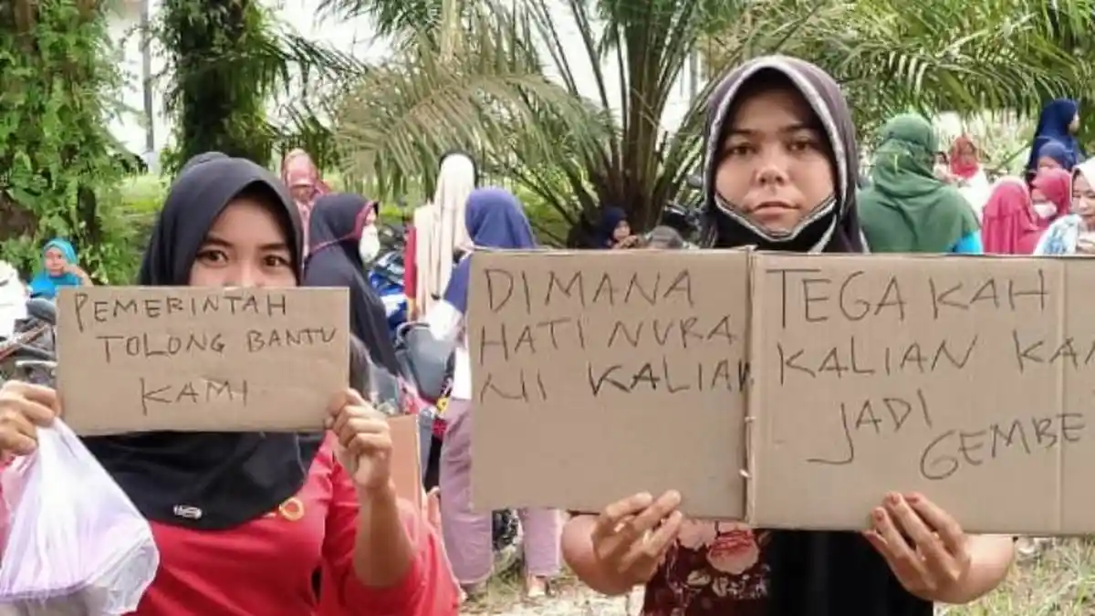 Konflik Lahan di Desa Rantau Kasih Kampar Belum Usai,Besok Tim DLHK Riau Turun ke Lokasi,untuk Apa?