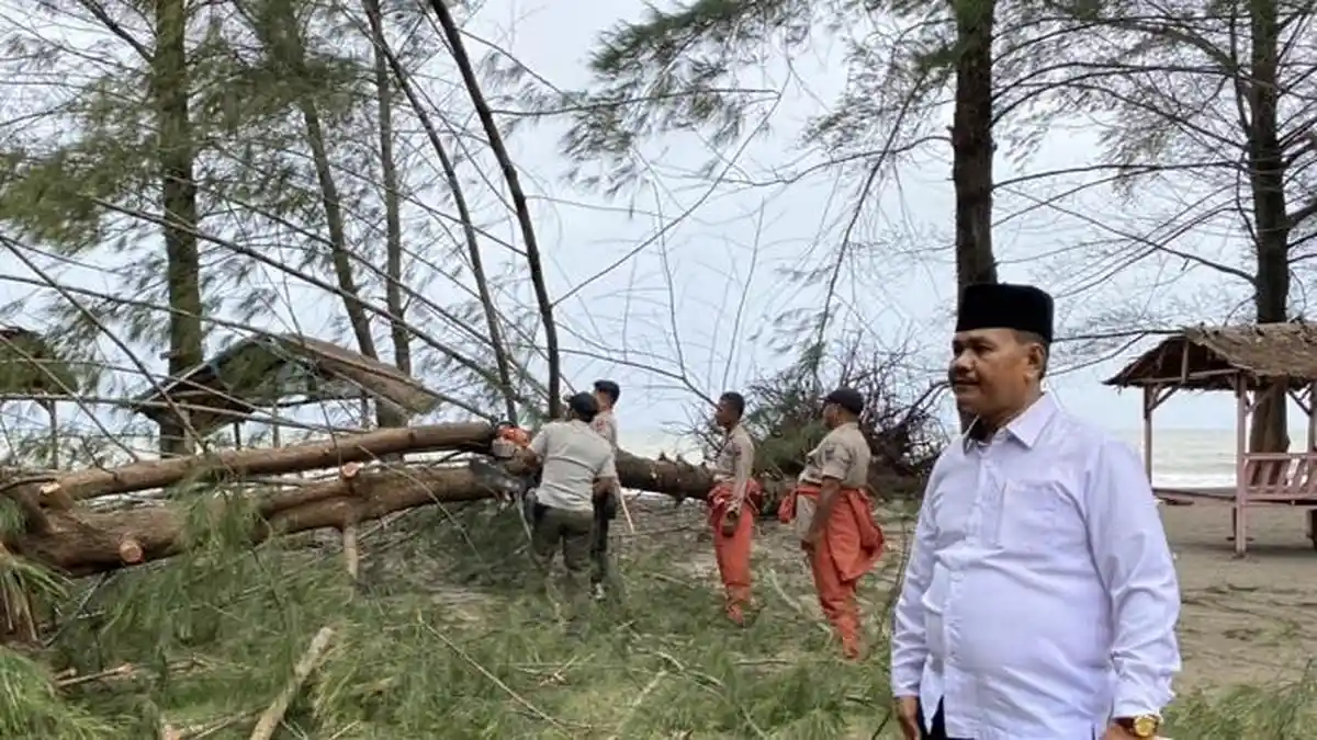 Hujan Sedang Hingga Tinggi Guyur Kota Padang, BPBD Ingatkan Bahaya Pohon Tumbang