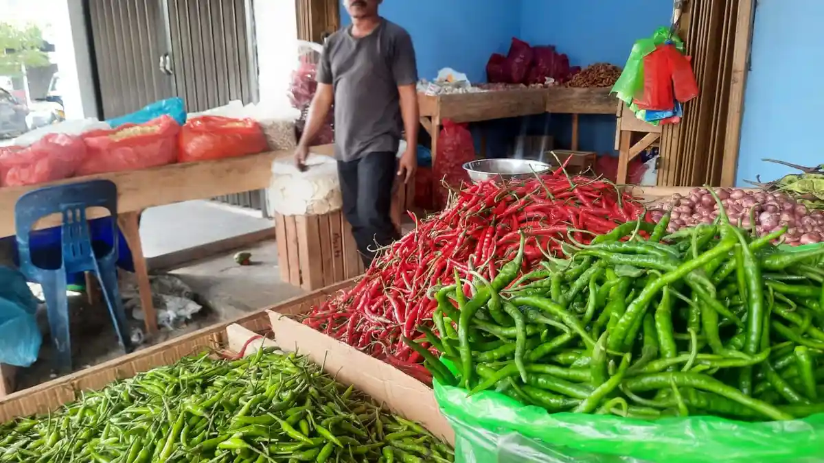 Harga Aneka Cabai di Tanjungpinang Naik, Cabai Merah Rp 90 Ribu Sekilo