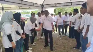 domino-mamuju-tengah.jpg