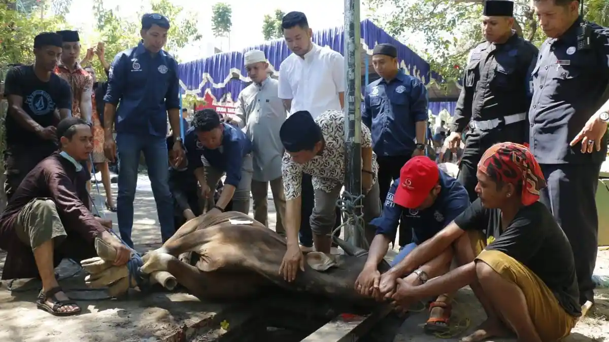 Claro Makassar Gelar Salat Iduladha dan Kurban 8 Ekor Sapi