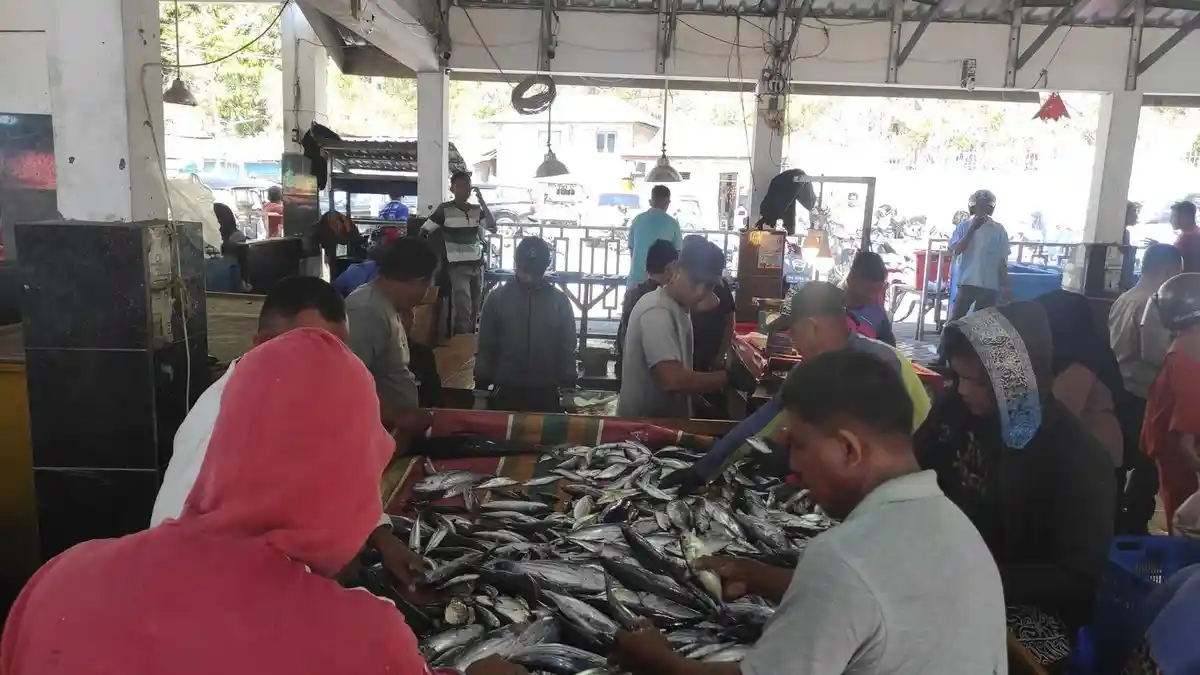 Harga Ikan di TPI Gorontalo Kamis 26 Maret 2026, Lajang Turun hingga Rp30 Ribu