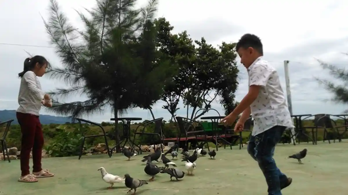 Taman Wisata Burung Dara, Destinasi Kekinian dari Aceh Besar