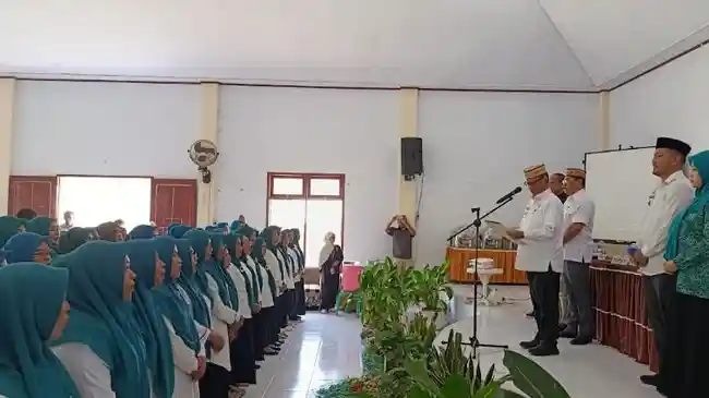 Tribun