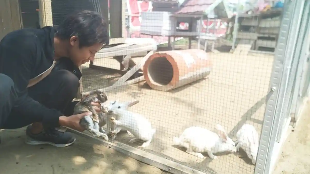 Taman Kelinci Palembang, Cukup Bayar Rp 5000 Bisa Usir Penat dan Stres