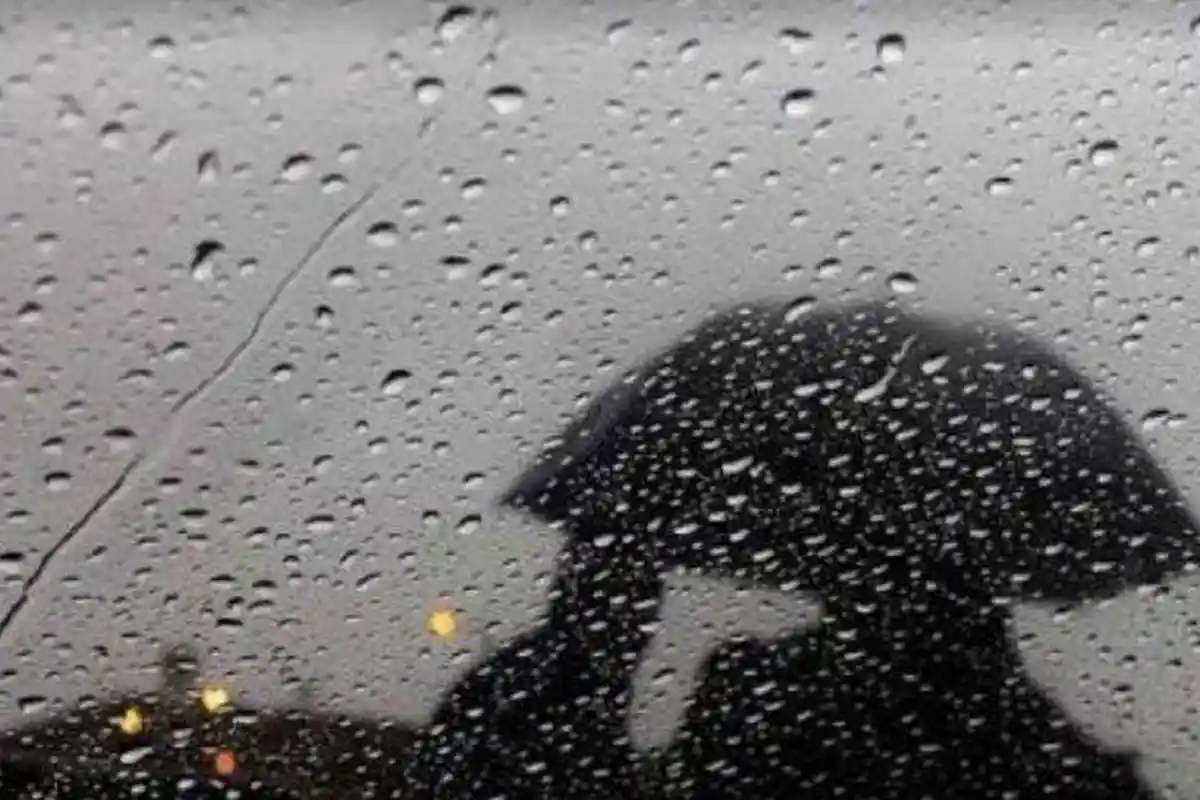 Prakiraan Cuaca Jumat 4 Februari 2022, BMKG: Hujan Sepanjang Hari di Beberapa Daerah