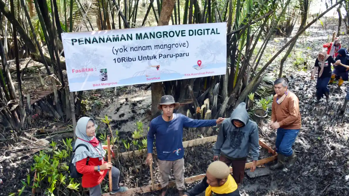 Kelompok Sadar Wisata Sungai Kupah Tanam Mangrove Berbasis Digital