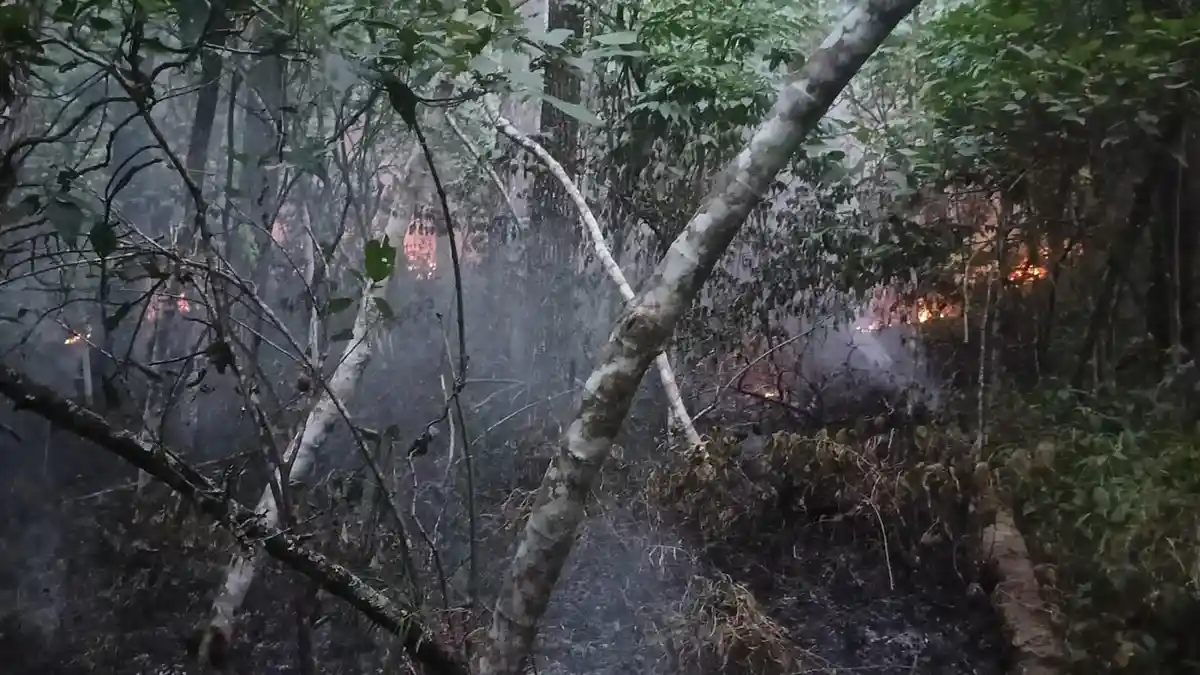 Polres Simalungun Padamkan Api di Hutan Sibaganding: Perjuangan Melawan Bara di Tengah Kemarau