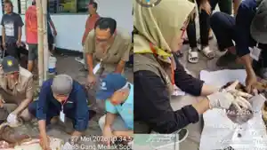 disnakkan-trenggalek-cek-hewan-kurban-temukan-cacing-hati.jpg