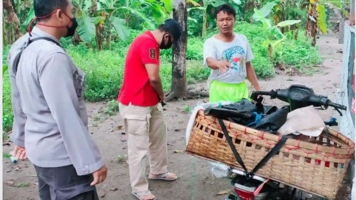 Niat Mau Ambil Kambing, Pencuri Justru Tingalkan Motor dan Senapannya
