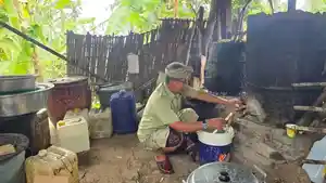 Arak-Fermentasi-Gula-Kian-Marak-Di-Pasaran-Rusak-Harga-Arak-Tradisional-Bali.jpg