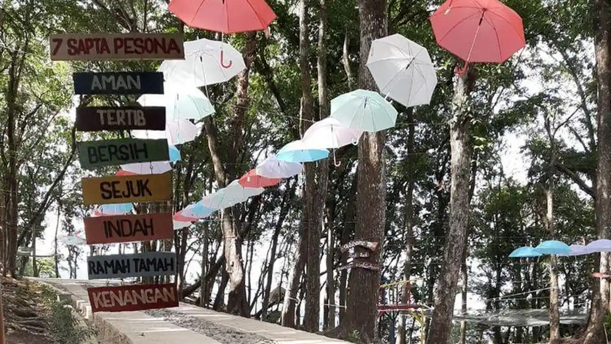 Beiji Park, Tempat Wisata Baru di Pacitan yang Hadirkan Spot Foto Instagramable