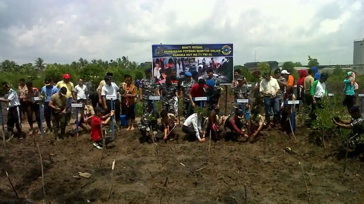 1600 Bibit Pohon Bakau Ditanam di Dermaga TNI AL Dumai