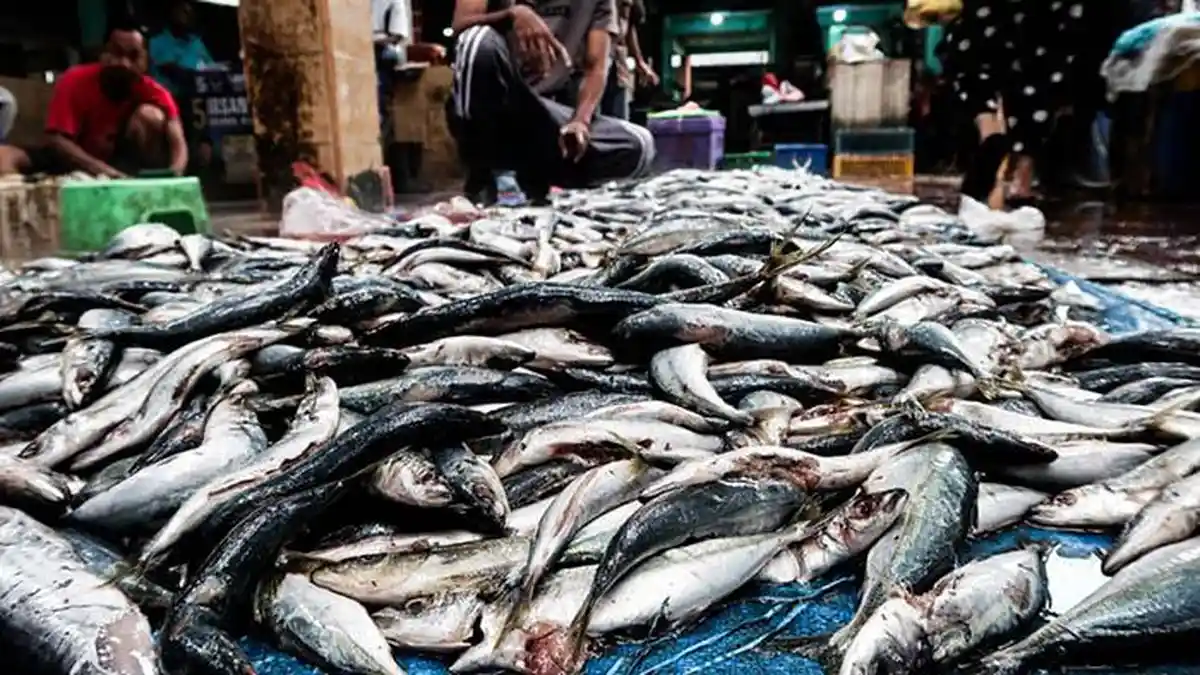 Cuaca Buruk, Pasokan Ikan di Aceh Tamiang Minim, Harga Ikan Mahal