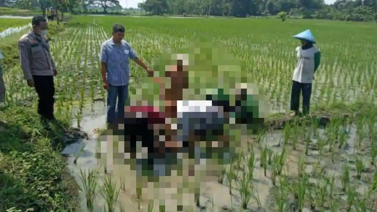 Tersengat Listrik Jebakan Tikus, Kakek Kasmin Ditemukan Tewas di Persawahan Blora