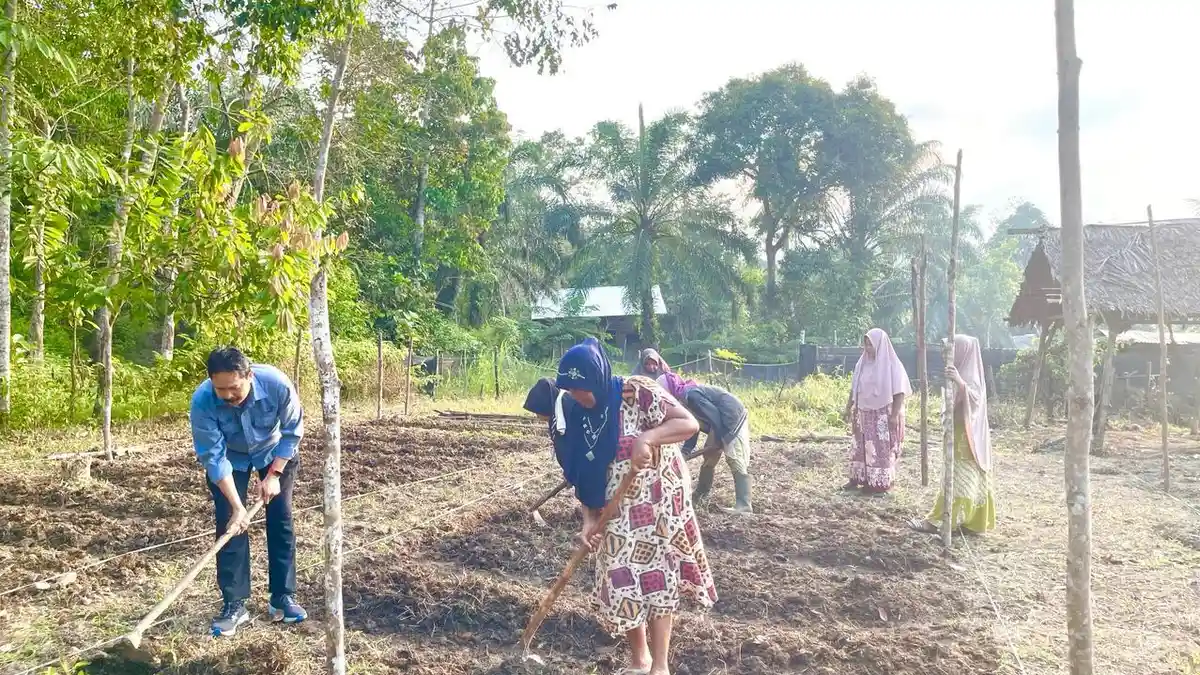 Medco E&P Malaka Bina Lima Kelompok Tani Perempuan di Aceh Timur