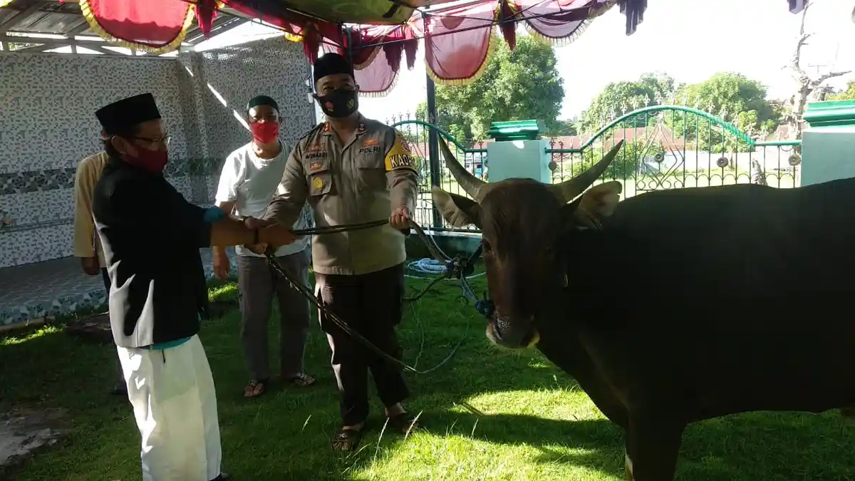 Kapolres Bitung Serahkan Hewan Kurban di Masjid Asrama Polisi