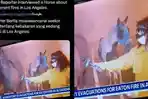 FAKTA-Foto-Viral-Reporter-Wawancara-Seekor-Kuda-di-Tengah-Kebakaran-Amerika-Arahkan-Microphone.jpg