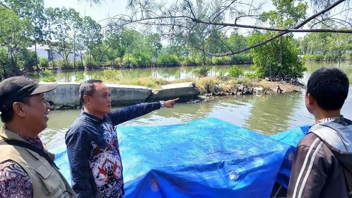 Jebol 30 Meter, DPUPR Kota Tegal Segera Pasang Sandbag di Tanggul Kali Anyar