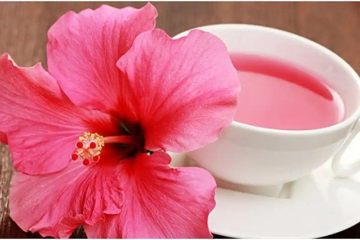 Ketahui 5 Manfaat Mengonsumsi Teh Kembang Sepatu, Turunkan Tekanan Darah hingga Atasi Kanker