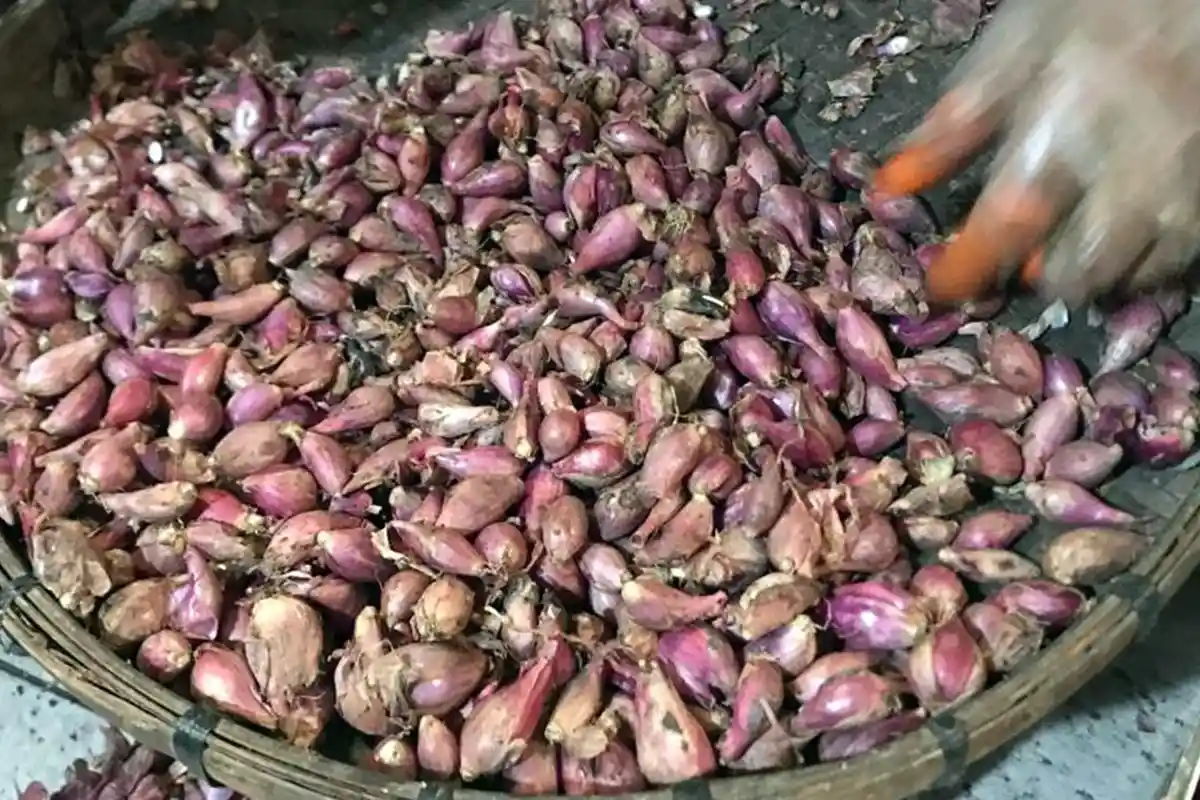 Kenaikan Harga Cabai di Demak Masih Dianggap Wajar Dindagkop UKM, Kok bisa?