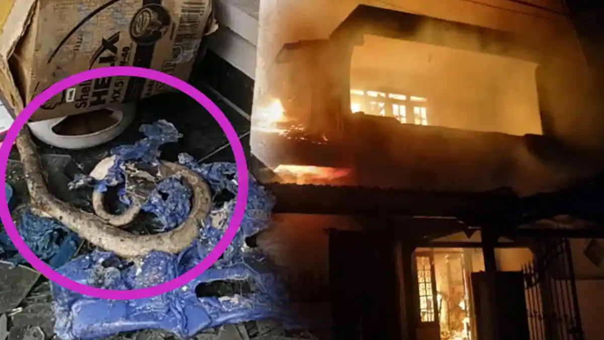 Satria Puji Rugi Rp 1 Miliar setelah 80 Ular Ball Python Mati Terpanggang di Rumahnya yang Terbakar