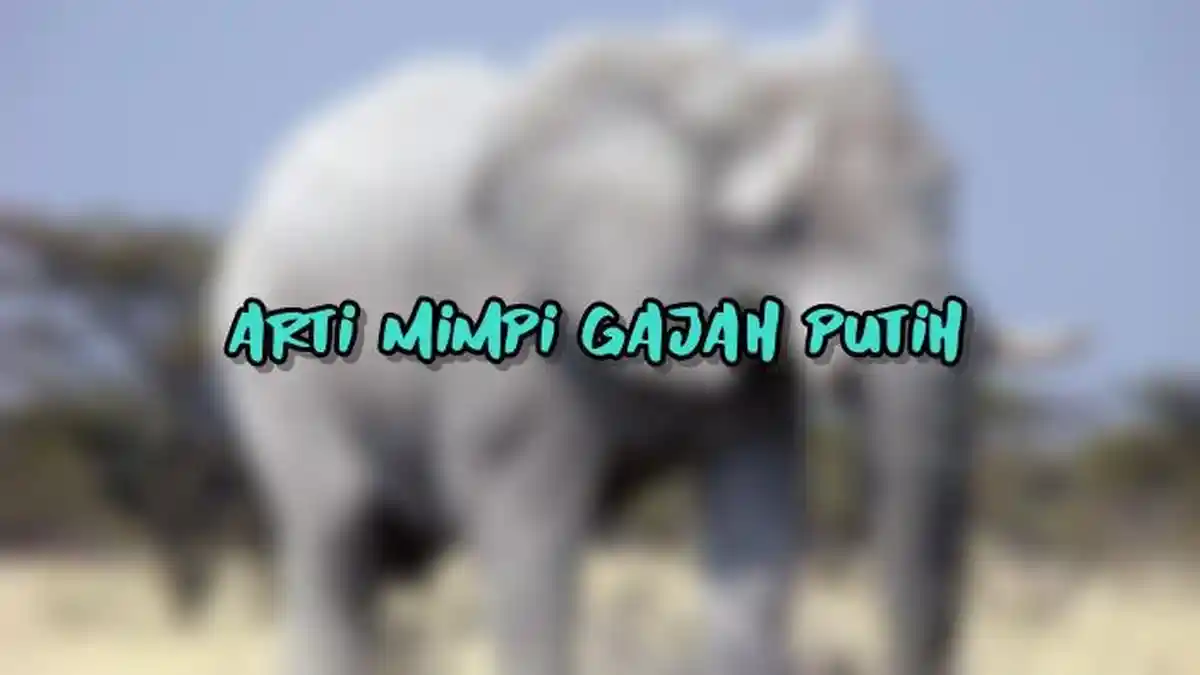 Arti Mimpi Tentang Gajah Putih, Ternyata Bisa Jadi Tanda Peringatan, Ini Tafsirannya