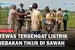 Seorang-pemuda-di-Grobogan-tewas-usai-tersengat-listrik.jpg