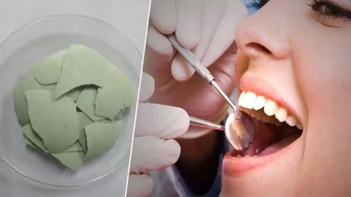 Ternyata Cangkang Telur Bebek Bisa Dimanfaatkan Untuk Bahan Tambal Gigi