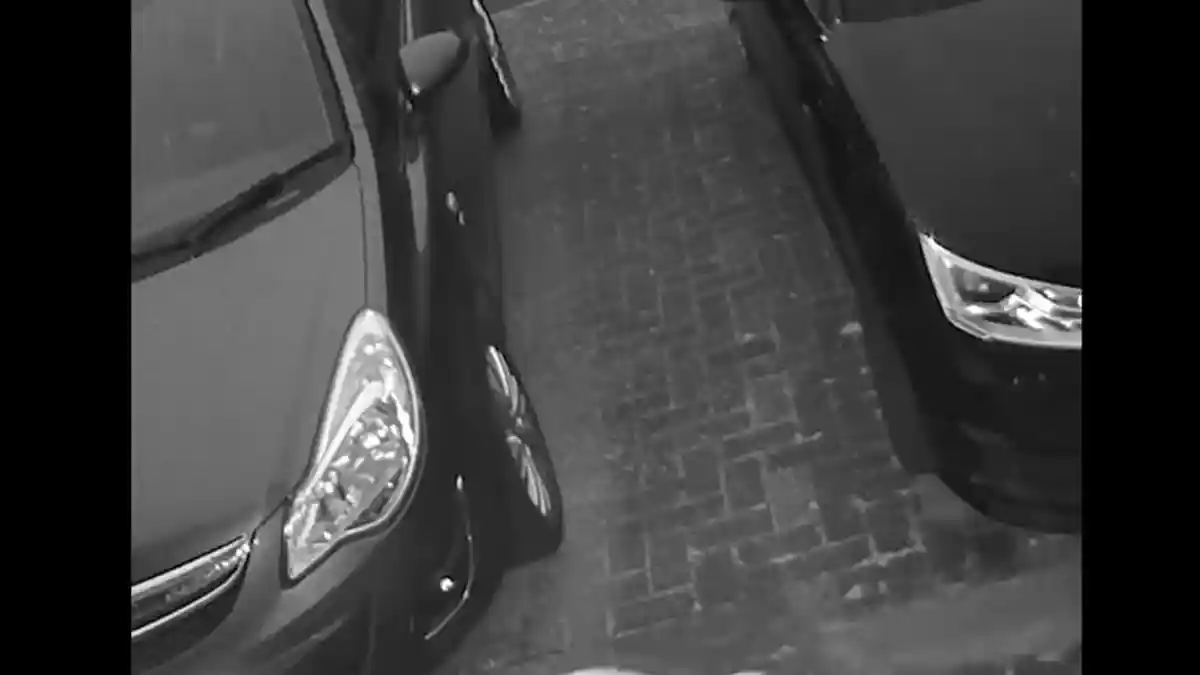 Heboh, 'Hantu Kucing' Terekam CCTV Berjalan Ikuti Kucing Putih, Warganet Bereaksi