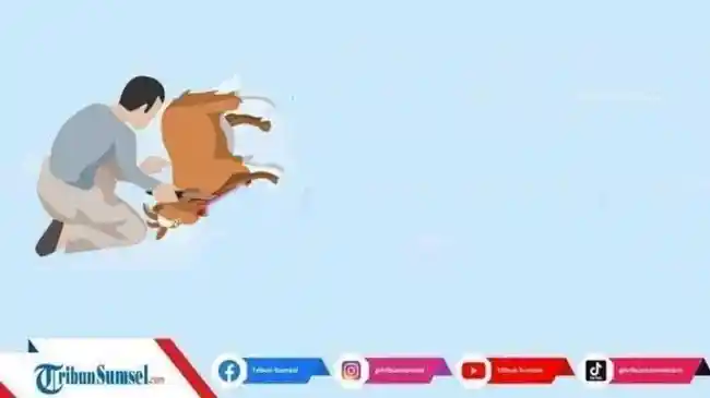 Tribun
