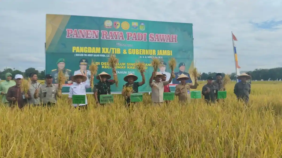 Danrem 042/Gapu dan Bupati Tebo Jambi Panen Raya Padi di Teluk Singkawang