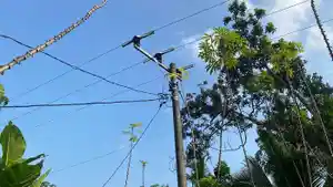 tangani-kabel-listrik-keluarkan-percikan-api-PLN-dan-damkar-ciamis-27042026-1.jpg