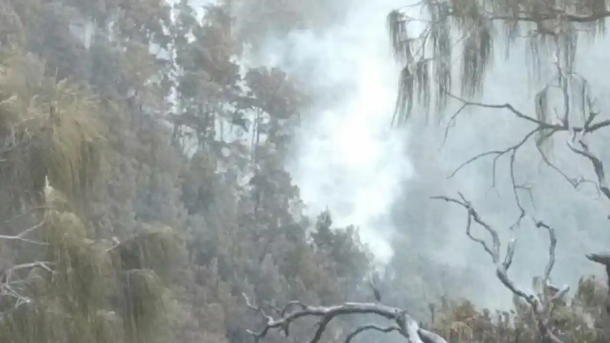 Petugas Telah Padamkan Kebakaran Gunung Arjuno pada Pukul 12.30 WIB Tadi