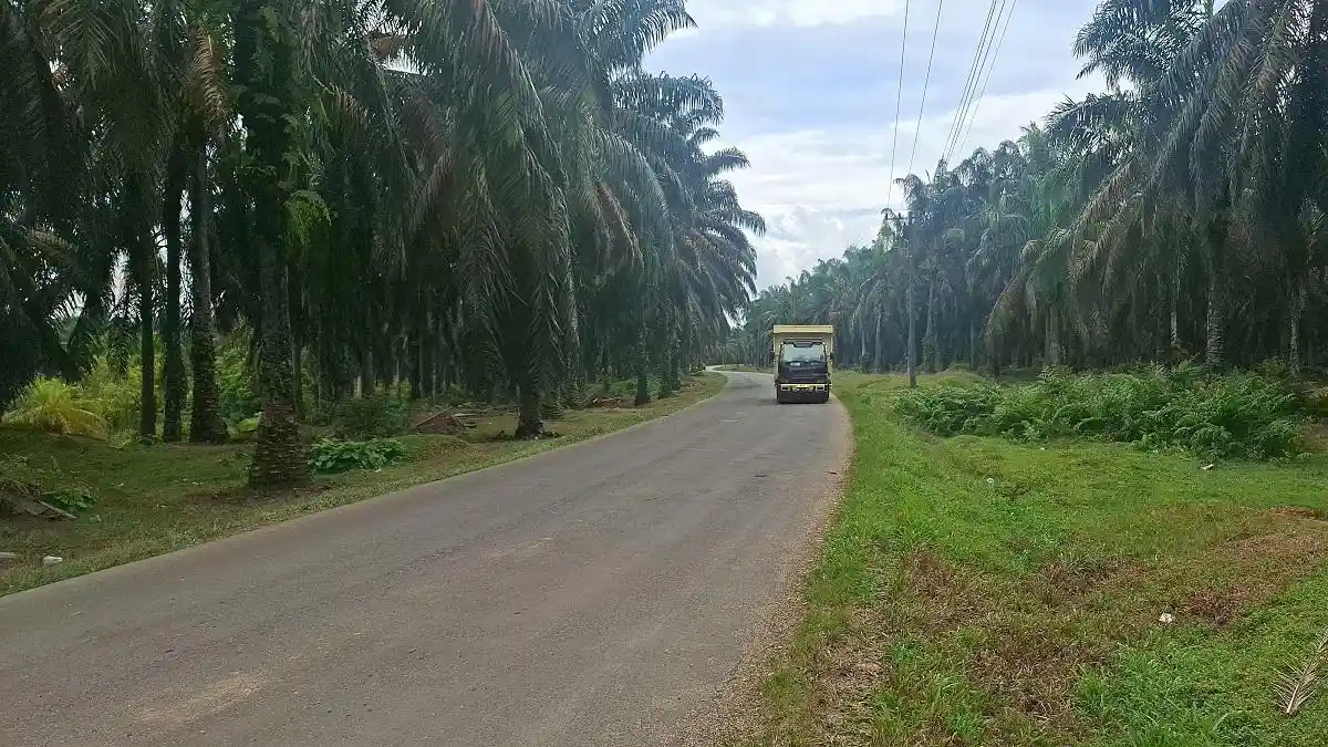 Gelap dan Sunyi Picu Aksi Begal di Tenggulun, Warga Minta Penerangan Jalan