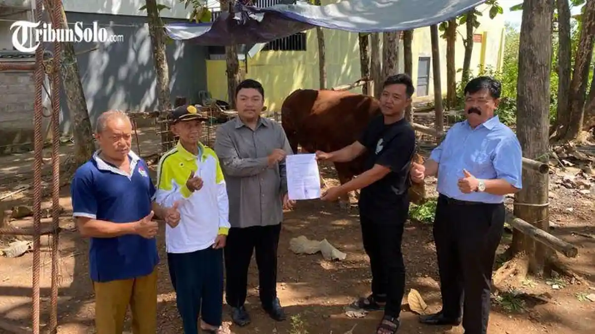 Lagi, Ponpes Citra Suhada Wonogiri Terima Sapi Kurban Presiden Prabowo, Bobotnya Capai Satu Ton