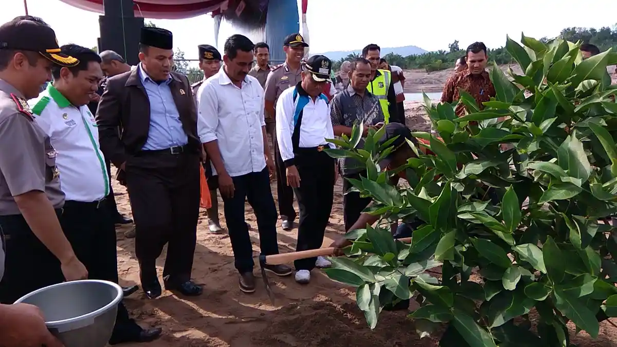 Di Bangka Ada sekitar 11.000 Hektar Lahan Kritis Eks Tambang