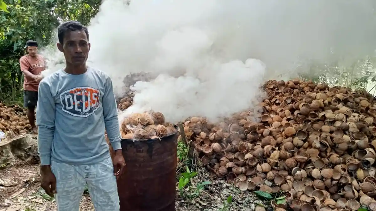 Harga Kopra Maluku Utara, 23 September 2022: Pekan Depan Diprediksi Turun Harga