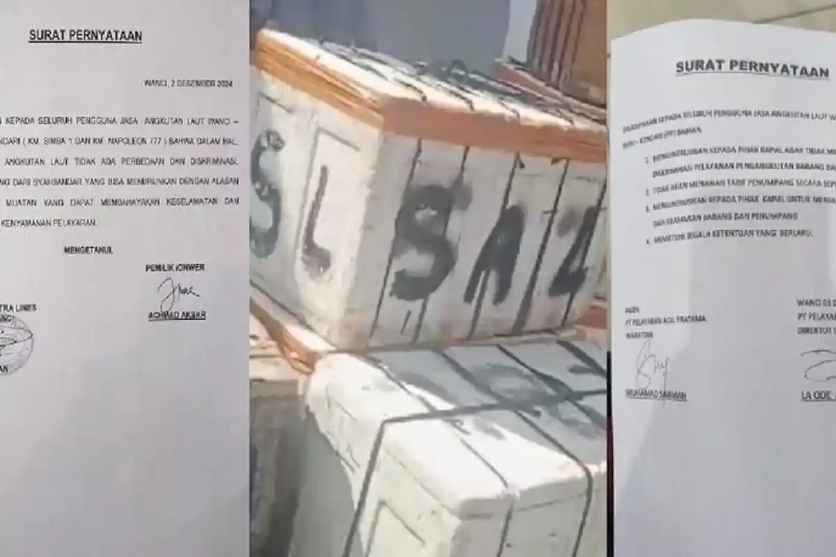 Viral Boks Gurita Nelayan Tak Diangkut, Owner Kapal di Wakatobi Klarifikasi: Tak Ada Diskriminasi