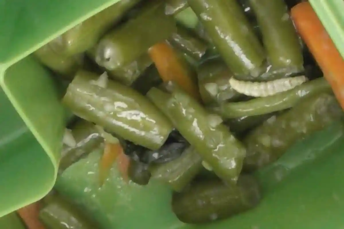 Program Makan Bergizi Gratis Labuan Bajo, Pelajar Temukan Belatung di Sayuran