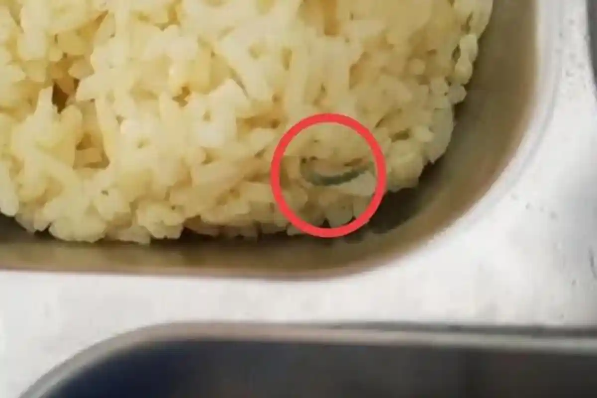 Ada Ulat Berkeliaran Dalam MBG Siswa SD di Bangkalan, Kasus Kedua Setelah Menu Berbau Amis