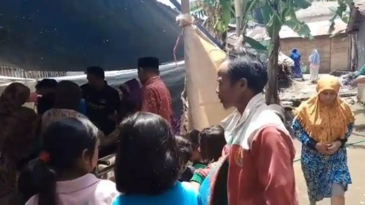 Seorang Warga Bojong Tegal Tewas setelah Diserang Gerombolan Lebah