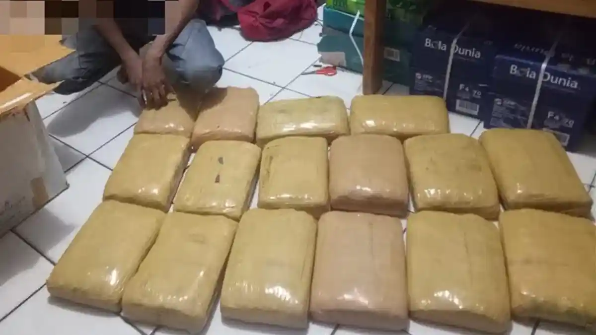 Polisi Ringkus Seorang Pemuda yang Membawa Puluhan Kilogram Ganja