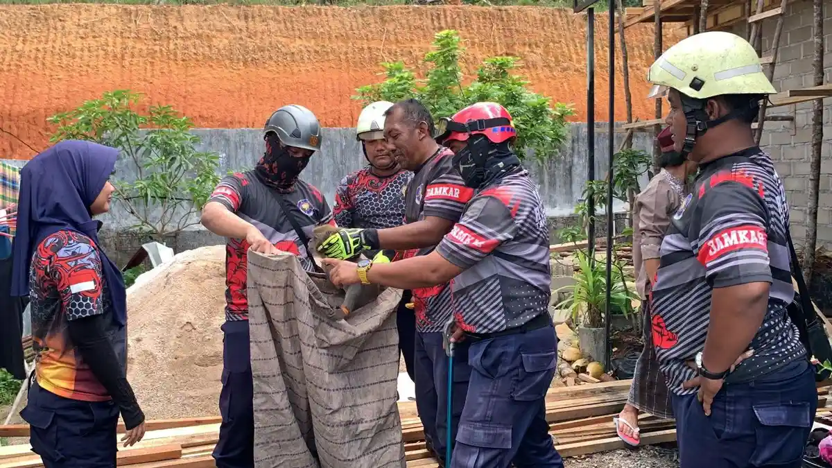 Warga Citra Onyx Tanjunguban Bintan Resah, Monyet Masuk Rumah dan Acak-acak Dapur