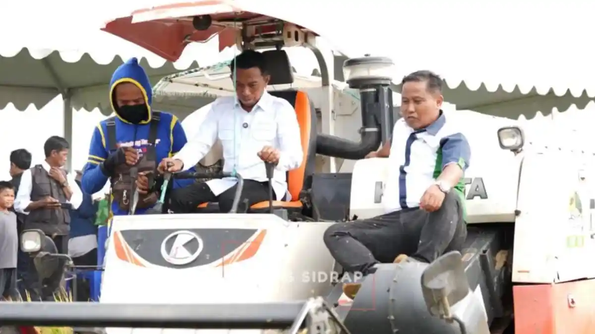 Syahar Ajak Bang Narji Panen Raya di Sidrap, Hasil Tembus 9 Ton Sehektare