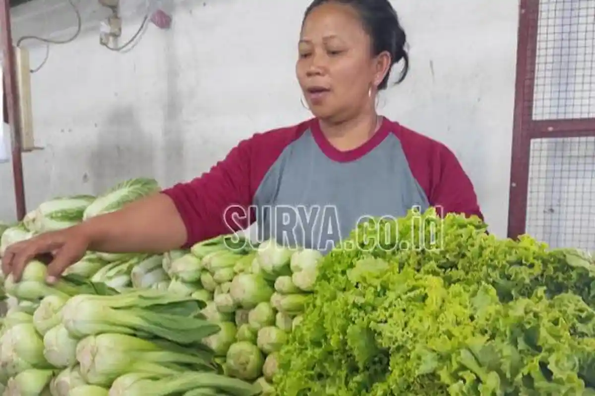 Di Kota Blitar, Harga Sayuran Merangkak Naik, Selada Tembus Rp 25.000 per Kilogram