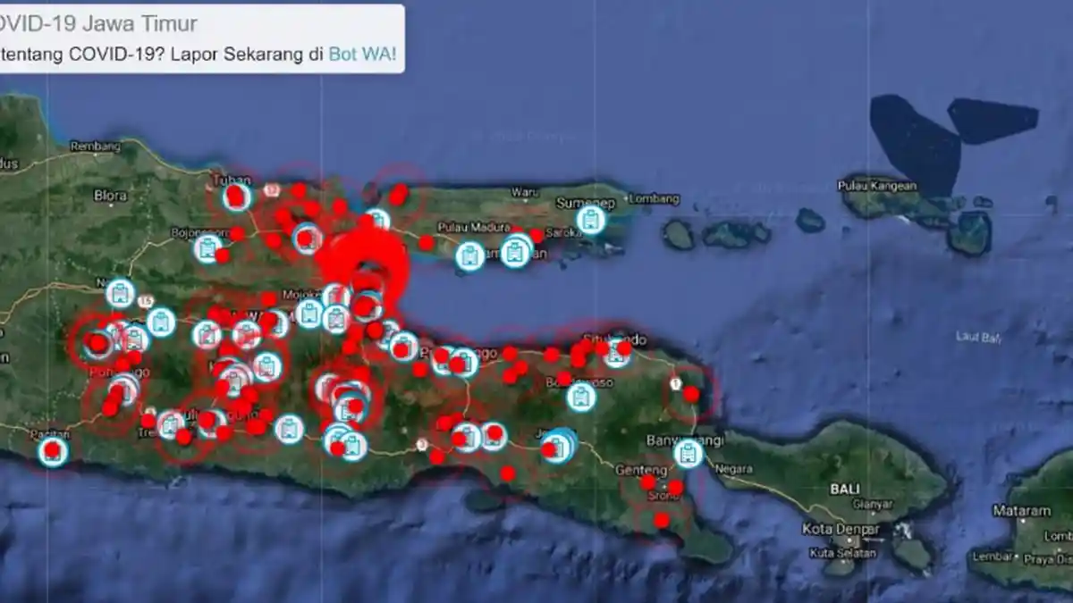 Cara Cek Sebaran Virus Corona Secara Real Time via Radar Covid-19 Jawa Timur, Buka Link di Sini!